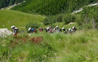 trekking - Tour della Val d Ossola.jpg